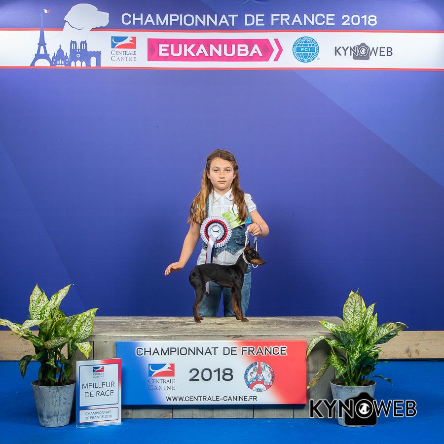 de l'Eden du Charme - CHAMPIONNAT DE FRANCE 2018